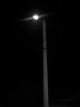Shine meine Taschenlampe / ***