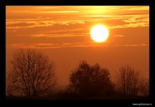Morgendämmerung / ***