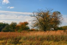 Goldener Herbst / .....
