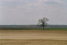 &nbsp; / *****X*****