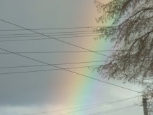 Regenbogen / ***