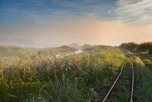 Der Weg in den Sümpfen / ***