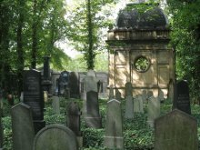 Neuer Jüdischer Friedhof / .....