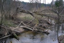 Hochwasser wurde / ***