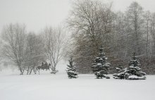 Zaplutavshie in einem Schneesturm / ***