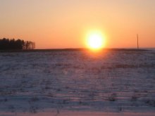 Winter / ***