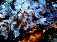 Ein Treffen der Herbst und Winter / ***
