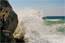 Surf / ***