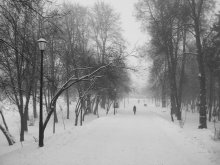 Winterschlaf sieben / ***