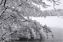 Verbeugung vor dem Winter / ***