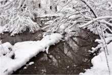 Winter Bach / ***