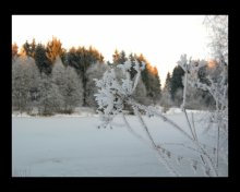 Im Winter finden ... / ***