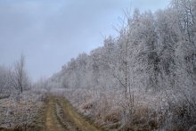 Ob Herbst oder Winter / ************