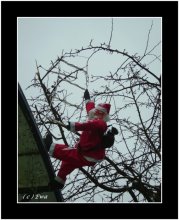 Frohes Neues Jahr! / ***