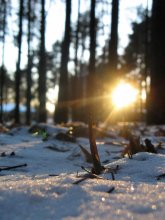 Sonne und Schnee / ***
