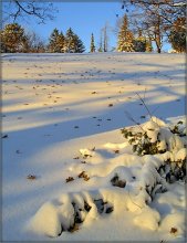 über die Beziehung von Schnee und Laub / .....