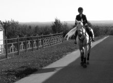 Schatten mit einem Pferd))) / )))