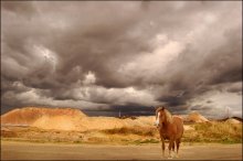 Breite vor dem Sturm / ***