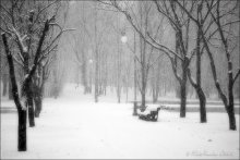 Winter Park / .....