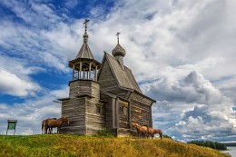 Pferde in der Kapelle von St. Nikolaus / ***