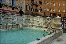Siena Fountain / ***