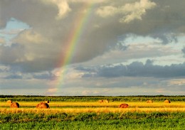 Nach dem Regen / ***