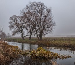 Aus der Serie "High Nebel ..." / ...