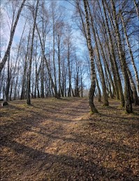 Der Frühling kommt ... / ***