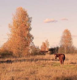 die Sonne untergeht / ***