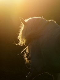 Gewebte Sonnenuntergang! / ***