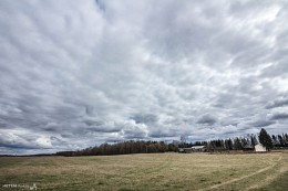Frühling im Land / ***