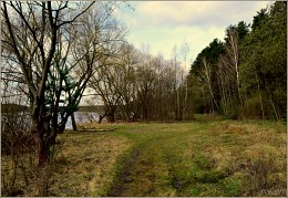 der Weg, auf dem Ufer / ***