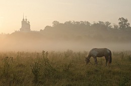 Sommernebel Epiphany / ***