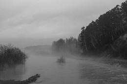 Unterwegs in den Nebel ... / ***