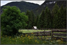 Ferienhaus im Wald. / ***