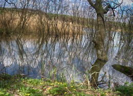 Rückstau / ***