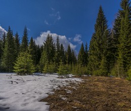 Berührungslinie / ***