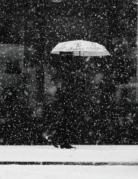 Schneefall / ***