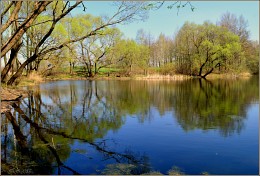 Frühling Teich / ***