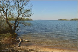 Spring Beach / ***