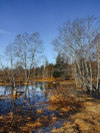 Mayday auf Erden Vologda ... / ***