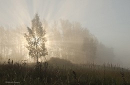 Drang Licht im September / ***