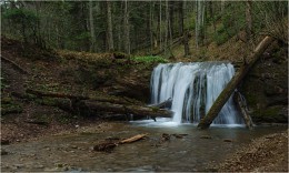 Frühling Wasserfall im Wald / ***