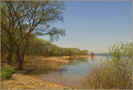 Spring Beach / ***