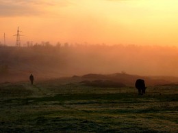 Morgendämmerung / ***