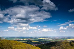 Freiflächen / ***