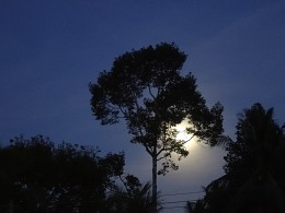 Full Moon / Thailand, Koh Phan Gan, after the Full Moon Party.