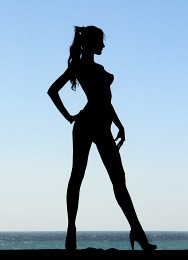 Silhouette Modell / ***