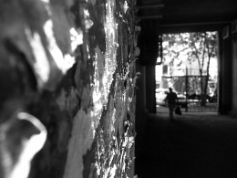 Ohne Titel / ***