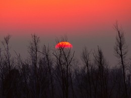 Sonnenuntergang auf dem Amur / ***